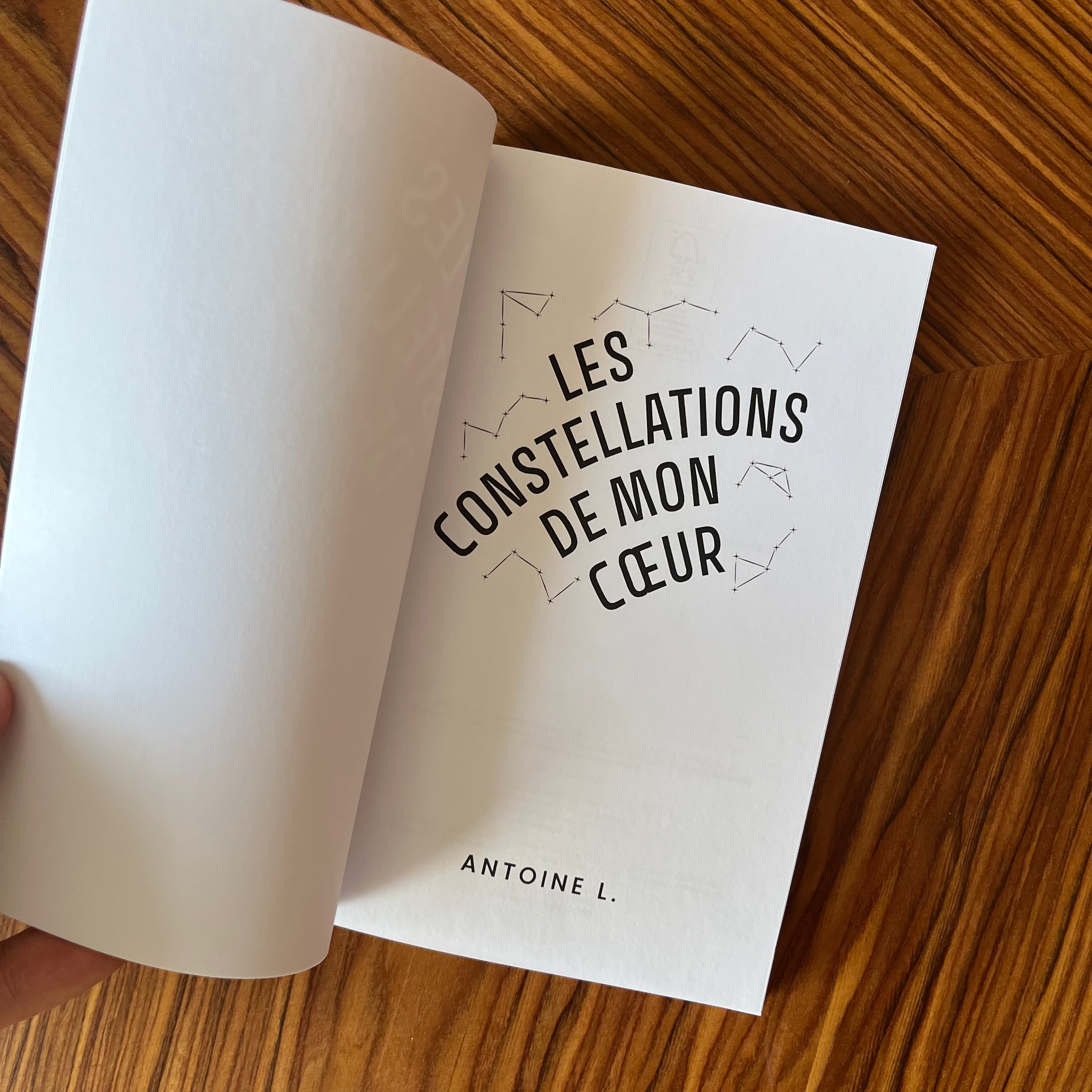 Les constellations de mon cœur